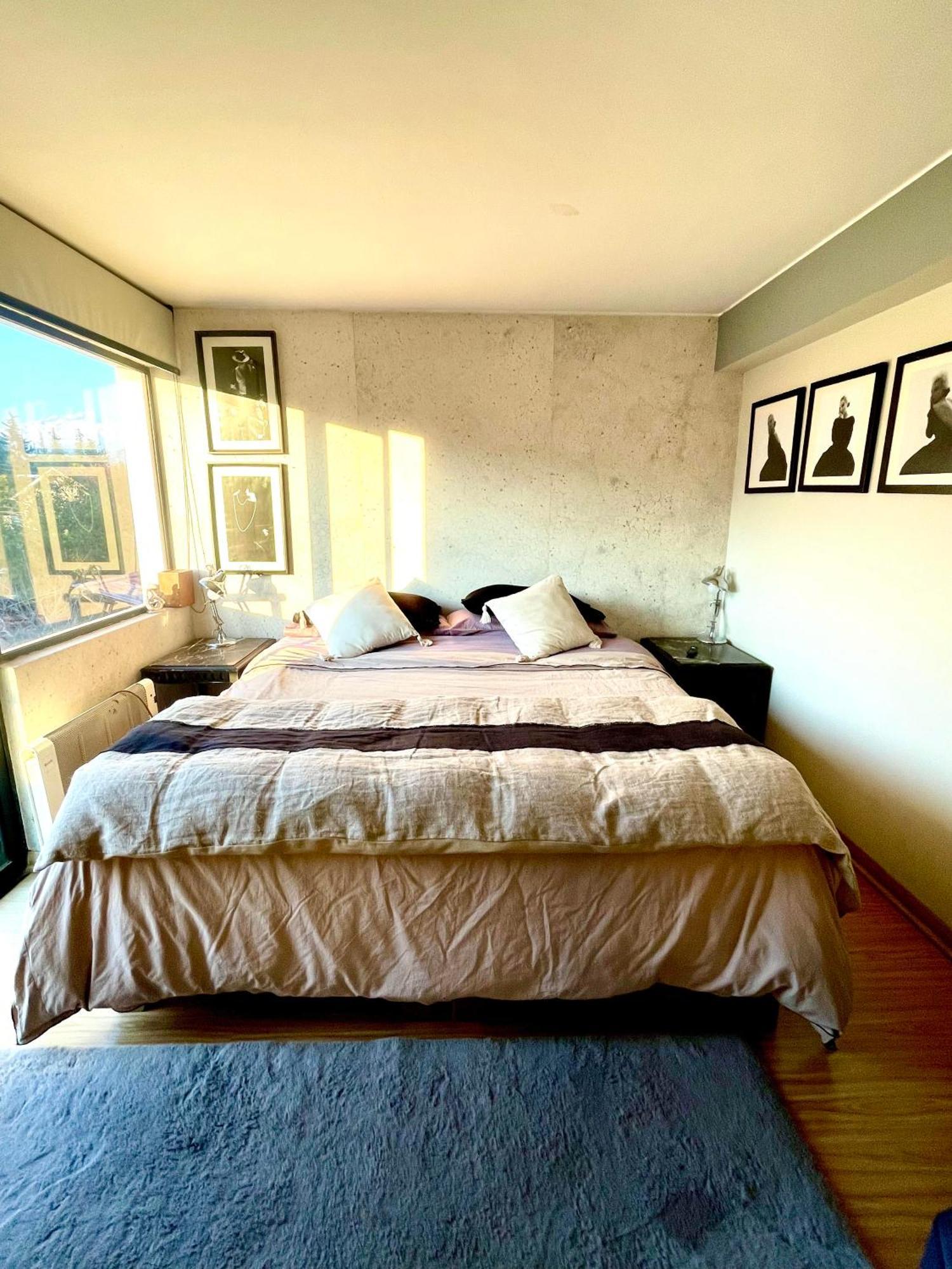 Departamento Delux Apartment Santiago Exterior photo